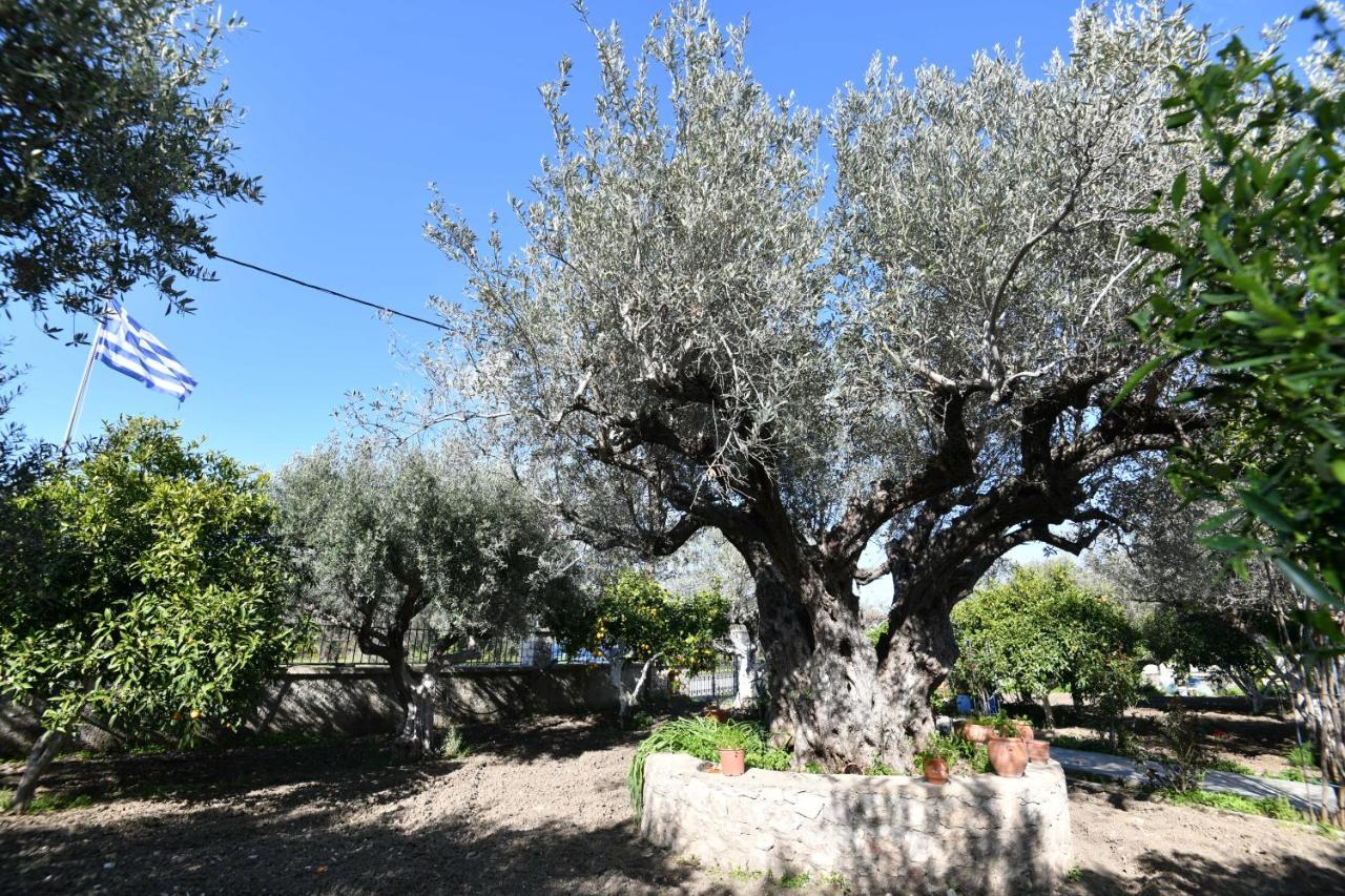 Villa Kavalino Kolymbia Zewnętrze zdjęcie