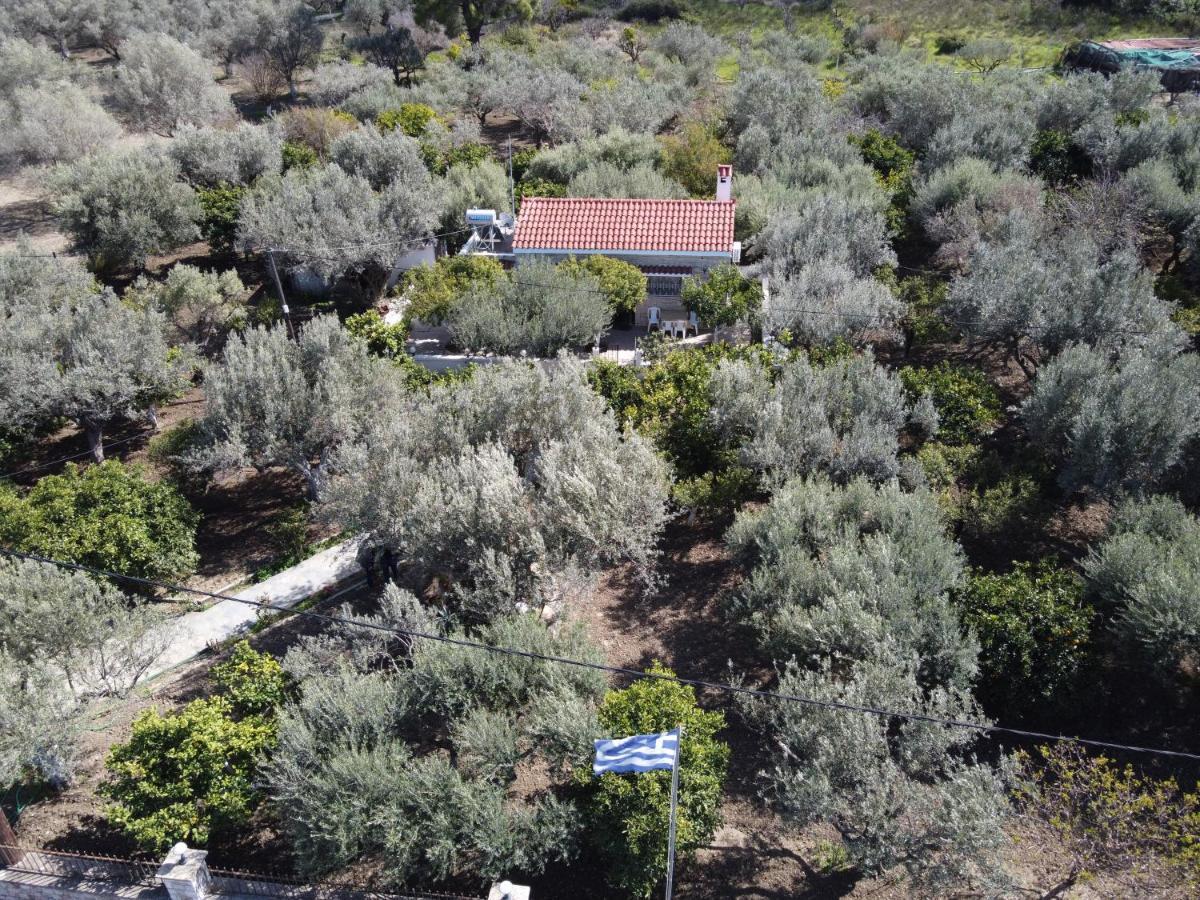 Villa Kavalino Kolymbia Zewnętrze zdjęcie