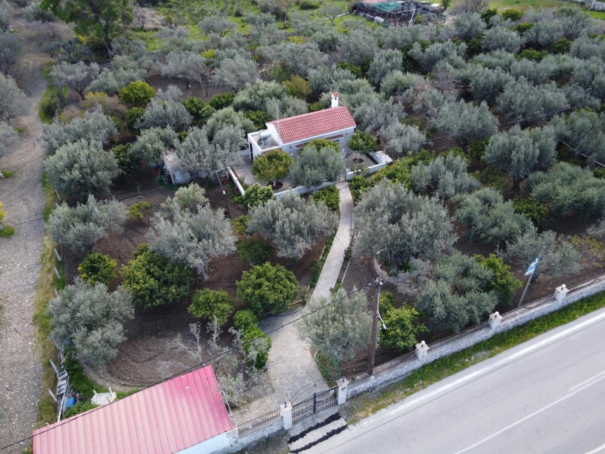 Villa Kavalino Kolymbia Zewnętrze zdjęcie
